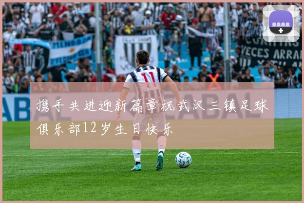 携手共进迎新篇章祝武汉三镇足球俱乐部12岁生日快乐