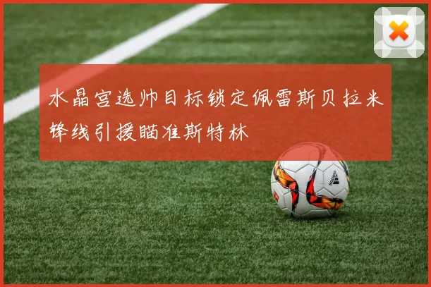 水晶宫选帅目标锁定佩雷斯贝拉米锋线引援瞄准斯特林