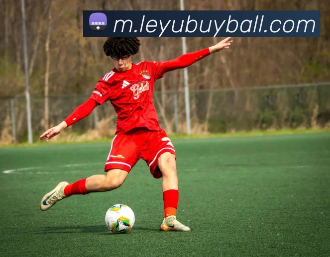 乐鱼体育发展历程