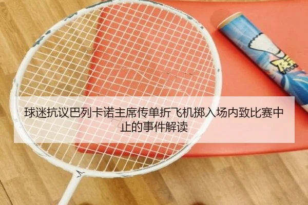 球迷抗议巴列卡诺主席传单折飞机掷入场内致比赛中止的事件解读 - leyu